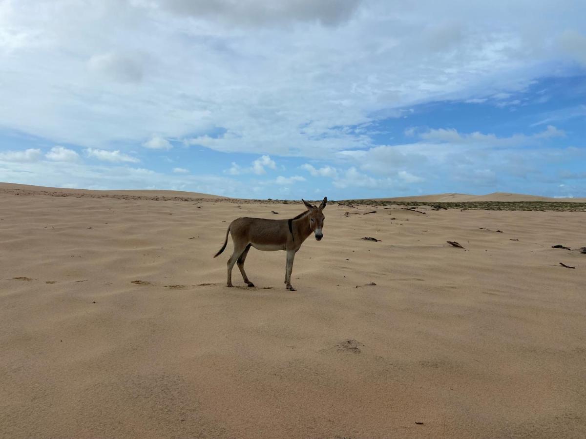 Casa Jasmin Villa Jijoca de Jericoacoara Kültér fotó
